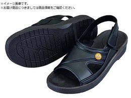 AS AYsAESDT_  L 4-1206-02