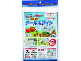 Dio N[zCg 1020SW  2m~4m 413275