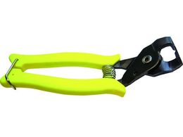 CAILLAU z[XNv [XΕt ߕtpH 540000203