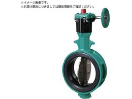 b 700Z-2F JIS10K ADC12 SCS13 EPDM 65A700Z-2F-65-S13-E