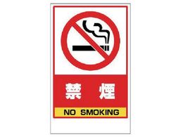 jbg ։XebJ[̂ PVCXebJ[ 417~257868-48