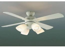 RCY~ ZEXܗpƖ 񒲌 dFLEDt ^CeAt@ 6p AM43212L