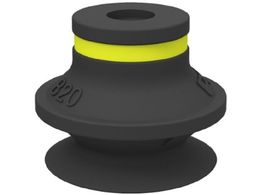 sAu TNVJbv B20.10 01 01 101 B20.10