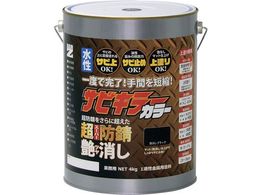 BAN[ZI hKh TrL[J[ 4kg 