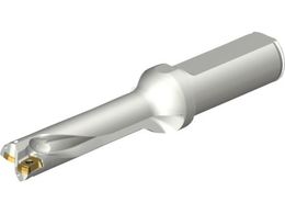 SANDVIK RhDS20nh 465 DS20-D1500L20-04 465