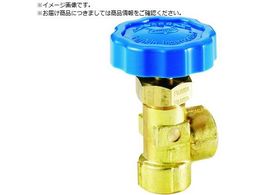 Fujikin j[hXgbvou AO` DS-31B-R