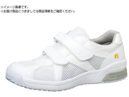 ~hS ÓdƌC ELEPASS307 25.0CM