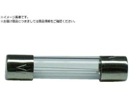 TJd KXǃq[Y GFV[Y AC250V-10A 2 GF-10A