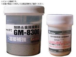 Grasp ϔMC W[^ GM-8300