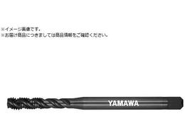 } Z-PRO X`[pnCubho[XpC^bv HVSP P4 M6X0.75 HVSP-P4-M6X0.75