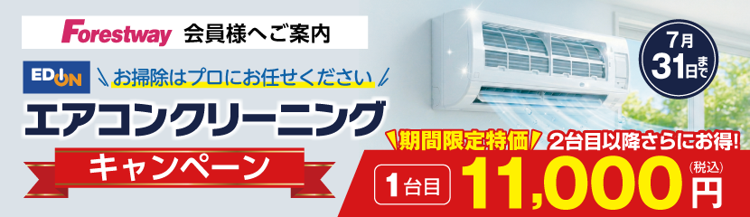 �Ɠd�̃v���̃N���[�j���O