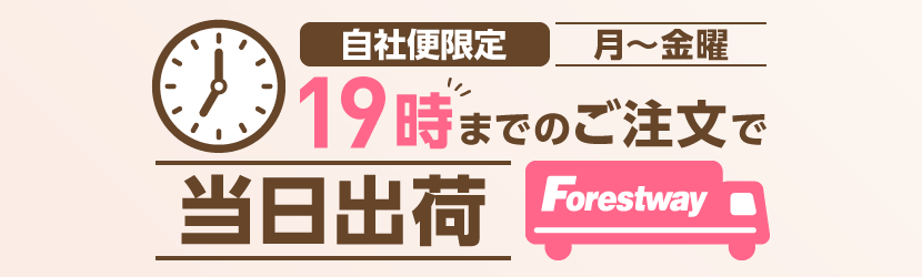 �t�H���X�g�E�F�C��