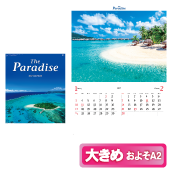 �p���_�C�X