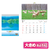 �t�H�[�G�o�[�E�W���p��