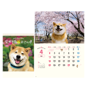 �Č��܂�Ƃ�����ۃJ�����_�[