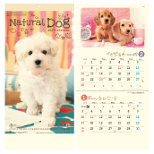 �i�`������ �h�b�O
