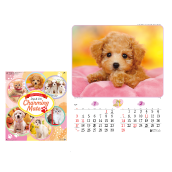 �`���[�~���O���C�g