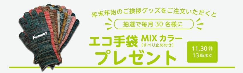 �N���N�n�̂����A�O�b�Y�����������������ƒ��I�Ŗ���30���l�ɃG�R���MIX�J���[�y���ׂ�~�ߕt���z�v���[���g�@11��30��(��)13���܂�