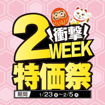 2WEEK������