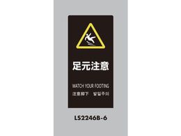  X^hTC LSTC ubN  LS2246B-6