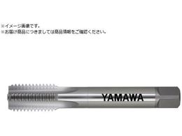 } Onh^bv ˂p LS-HT LH L200 P3 M27X3 1.5P LS-HT-LH-P3-200-M27X3-1.5P