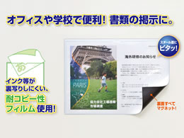 マグエックス マグネットカードケース ツヤ有り A4 MCARD-A4G