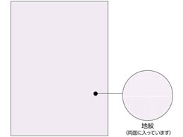 ヒサゴ コピー偽造予防用紙浮き文字A4両面1000枚 BP2110Z | Forestway