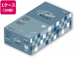 쐼H jgO[utF[`F u[M 100~30 #2067