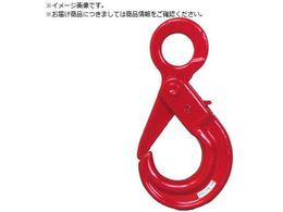 {Nv SbNtZ[teBtbN SFB-2.0