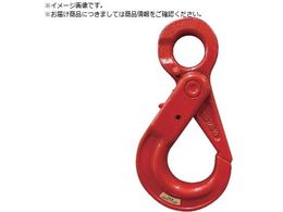 {Nv SbNtZ[teBtbN SFB-5.3