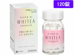 GXGX nC`I[zCeBAv~A 120