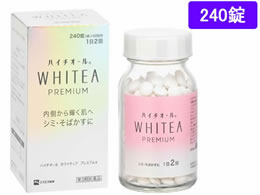 GXGX nC`I[zCeBAv~A 240