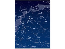 A[eB~X t[TCYubNJo[  FFSBC919