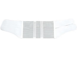 �A���P�A �T�N���t�B�b�N�X(M)�A���P�A 10663(1�R�C��)