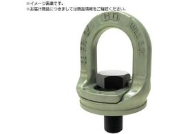 Crosby XChbN SL-150-M20