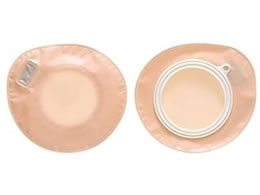 �A���P�A �v���P�A�[2�EM(40)�A���P�A 12171(10�}�C�C��)