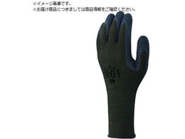 SHOWA  MAMORI 01Obv STCY MAMORI01-S