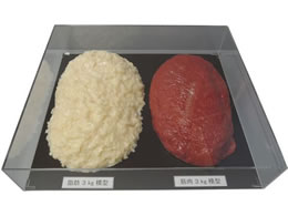 �C���C�T���v�� �ؓ��Δ�Z�b�g 3Kg SKT-030