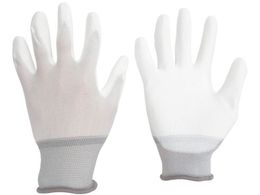 ~hS iǗp ̂ЂR[g 10o LTCY