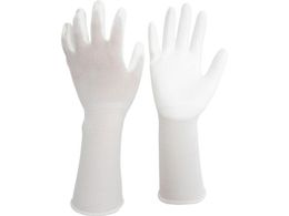 ~hS ᔭo O ̂ЂR[g 10o S