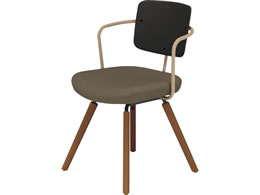 �R�N�� �`�F�A ���[�e �؋r �t���[���^�C�v �w���� K16-R03CZ-ZM6E6X1