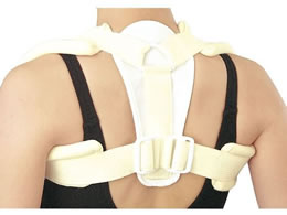 �V�O�}�b�N�X �N���r�N���u���[�X �����Œ�� 19-4615-05 15606(LL)