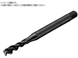 SANDVIK �R���^�b�v300 �X�p�C�����^�b�v 780 B145 T300-MM170JA-M5 B145