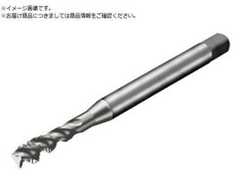 SANDVIK �R���^�b�v300 �X�p�C�����^�b�v 780 D150 T300-SD150JA-M6 D150