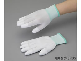 AYsA(AY) AYsAPUN[(nCObv)10o M