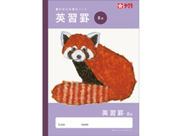 �T�N���N���p�X �w�K�� �p�K�r 8�i NJ92