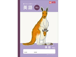 �T�N���N���p�X �w�K�� �p�� 10�i NJ91