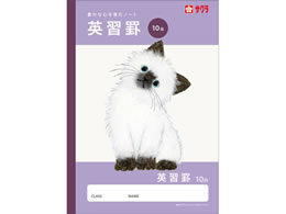 �T�N���N���p�X �w�K�� �p�K�r 10�i NJ93