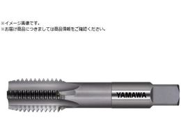 ���}�� ���S�p���d�n���h�^�b�v N-CT FC P4 M14X1 3P N-CT-FC-P4-M14X1-3P