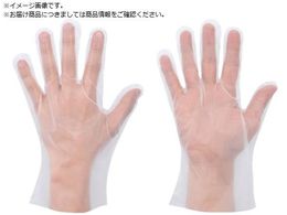 SHOWA |G`ĝĎ